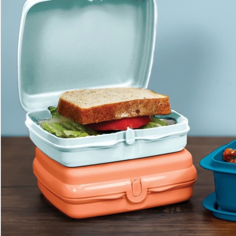 Tupperware Aqua and Coral Sandwich Keeper